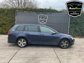  Volkswagen Golf Golf VII Variant (AUVV), Combi, 2013 / 2021 1.2 TSI BlueMotion 16V 2014/10