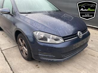 Volkswagen Golf Golf VII Variant (AUVV), Combi, 2013 / 2021 1.2 TSI BlueMotion 16V picture 3
