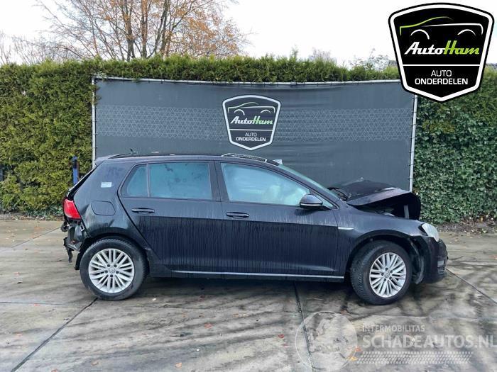 Volkswagen Golf Golf VII (AUA), Hatchback, 2012 / 2021 1.2 TSI 16V