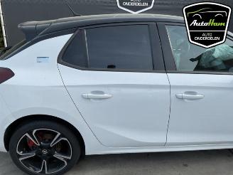 Opel Corsa Corsa F (UB/UH/UP), Hatchback 5-drs, 2019 1.2 12V 130 picture 11