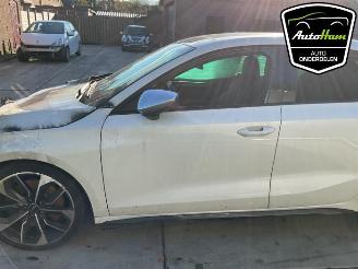 Audi S3 S3 Sportback (8YA), Hatchback 5-drs, 2020 2.0 T FSI 16V picture 6