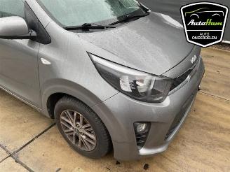 Kia Picanto Picanto (JA), Hatchback, 2017 1.0 DPI 12V picture 13