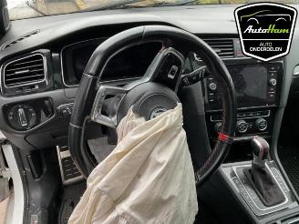 Volkswagen Golf Golf VII (AUA), Hatchback, 2012 / 2021 2.0 GTI 16V Performance Package picture 21