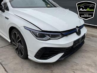 Volkswagen Golf Golf VIII (CD1), Hatchback, 2019 2.0 TSI R 16V 4Motion picture 3