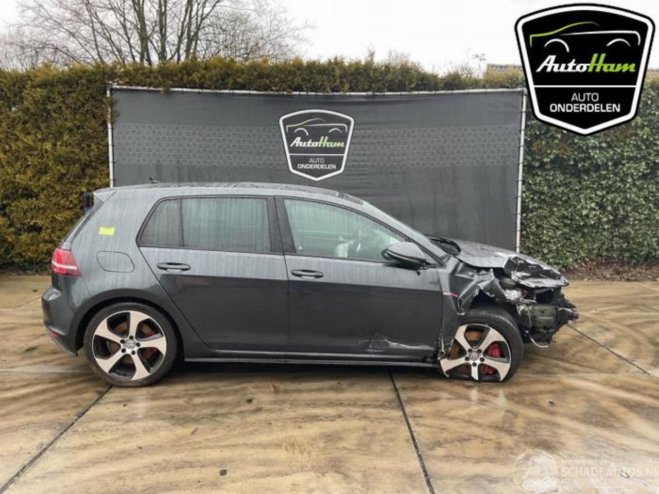 Volkswagen Golf Golf VII (AUA), Hatchback, 2012 / 2021 2.0 GTI 16V Performance Package