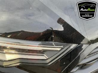 Audi A6 A6 (C8), Sedan, 2018 2.0 16V 55 TFSI E Mild hybrid Quattro picture 17