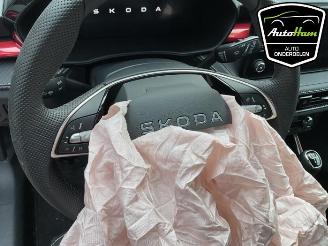 Skoda Fabia Fabia IV (PJ3), Hatchback 5-drs, 2021 1.0 TSI 12V picture 16