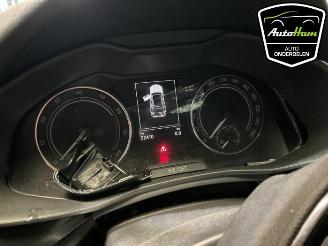 Vrakbiler auto Skoda Kamiq Kamiq, SUV, 2019 1.0 TSI 12V 2023/12