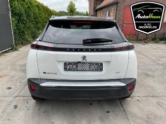 Peugeot 2008 2008 (UD/UK/UR/US/UX), MPV, 2019 e-2008 50 kWh picture 9