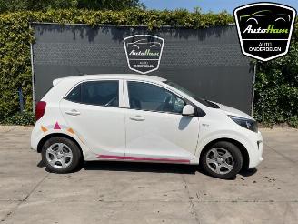 Sloopauto Kia Picanto Picanto (JA), Hatchback, 2017 1.0 DPI 12V 2023/8