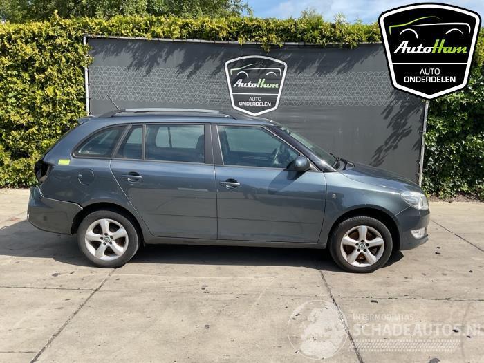 Skoda Fabia Fabia II Combi, Combi 5-drs, 2007 / 2014 1.2 TSI