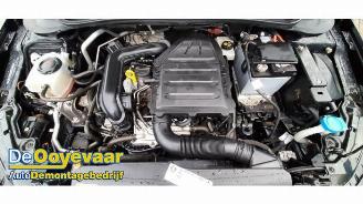 Volkswagen Polo Polo VI (AW1), Hatchback 5-drs, 2017 1.0 TSI 12V picture 3