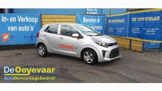 Coche siniestrado Kia Picanto Picanto (JA), Hatchback, 2017 1.0 DPI 12V 2024/2