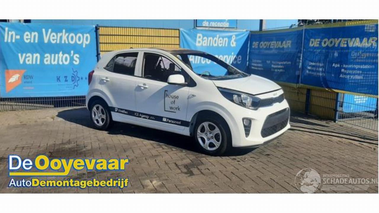 Kia Picanto Picanto (JA), Hatchback, 2017 1.0 DPi 12V