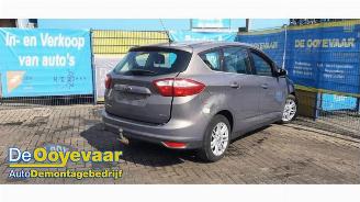 Ford C-Max C-Max (DXA), MPV, 2010 / 2019 1.0 Ti-VCT EcoBoost 12V 125 picture 7