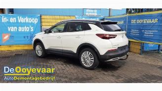 Coche siniestrado Opel Grandland Grandland (X), SUV, 2017 1.2 Turbo 12V 2018/3