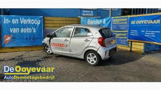 Sloopauto Kia Picanto Picanto (JA), Hatchback, 2017 1.0 DPI 12V 2024/4