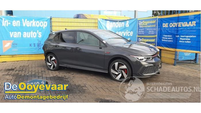 Volkswagen Golf Golf VIII (CD1), Hatchback, 2019 2.0 GTI 16V
