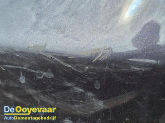 Audi A6 avant A6 Avant (C6), Combi, 2005 / 2011 2.4 V6 24V picture 19