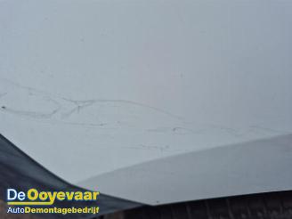 Renault Kangoo Kangoo Express (FW), Van, 2008 1.5 dCi 75 picture 6