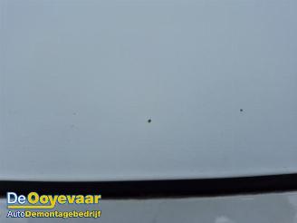 Renault Kangoo Kangoo Express (FW), Van, 2008 1.5 dCi 75 picture 16