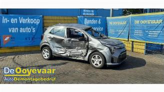 Uttjänta bilar auto Kia Picanto Picanto (JA), Hatchback, 2017 1.0 DPI 12V 2024/8