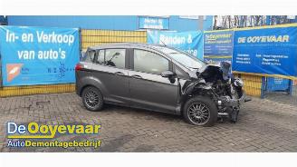 Ford B-Max B-Max (JK8), MPV, 2012 1.0 EcoBoost 12V 100 picture 2