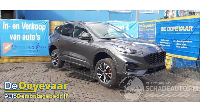 Ford Kuga Kuga III (DFK), SUV, 2019 2.5 PHEV 16V