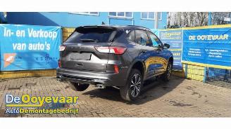 Ford Kuga Kuga III (DFK), SUV, 2019 2.5 PHEV 16V picture 2