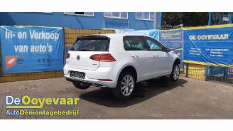 Volkswagen Golf Golf VII (AUA), Hatchback, 2012 / 2021 1.5 TSI Evo BlueMotion 16V picture 2