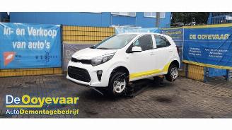 Kia Picanto Picanto (JA), Hatchback, 2017 1.0 DPi 12V picture 4