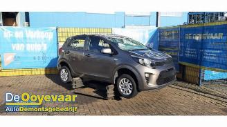 Auto da rottamare Kia Picanto Picanto (JA), Hatchback, 2017 1.0 12V 2019/10