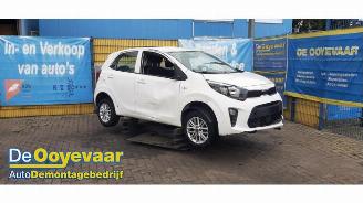 Dezmembrări autoturisme Kia Picanto Picanto (JA), Hatchback, 2017 1.0 DPI 12V 2023/12