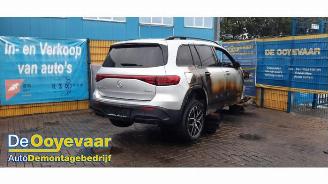  Mercedes EQB EQB (X243), SUV, 2021 300 4-Matic 2022/6