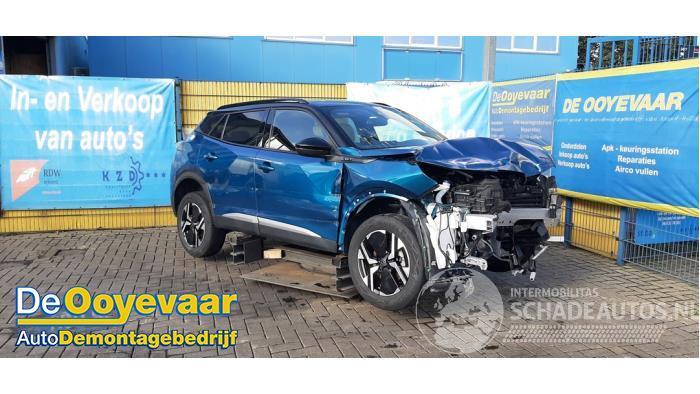 Peugeot 2008 2008 (UD/UK/UR/US/UX), MPV, 2019 1.2 Hybrid 136
