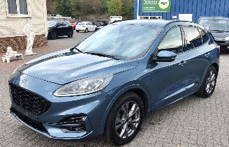 skadebil auto Ford Kuga Ford Kuga 1.5 EcoBlue ST-Line Automaat 2021/6