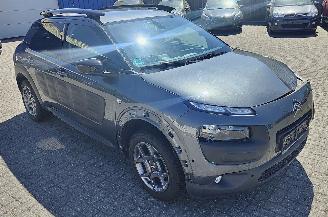 Citroën C4 cactus Citroën C4 Cactus Shine picture 6