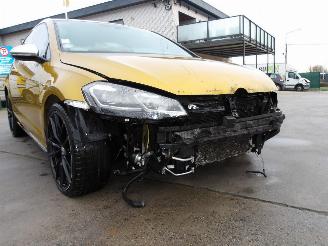 Volkswagen Golf R-TYPE picture 12