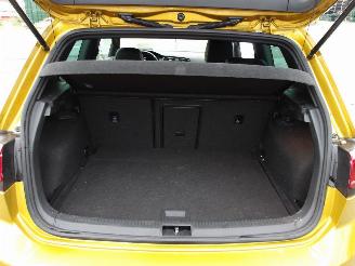 Volkswagen Golf R-TYPE picture 25