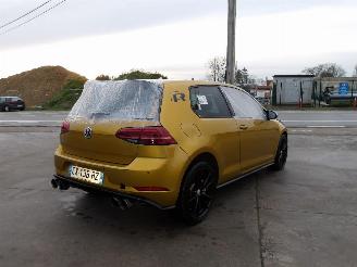 Volkswagen Golf R-TYPE picture 5