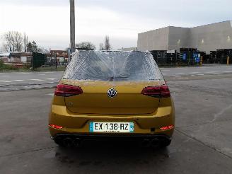 Volkswagen Golf R-TYPE picture 6