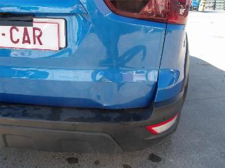 Ford EcoSport  picture 15