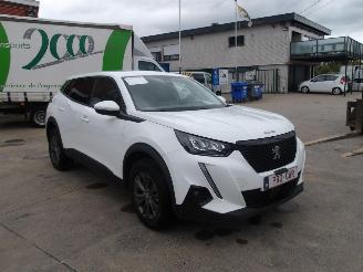 Peugeot 2008 1.5 HDI picture 5