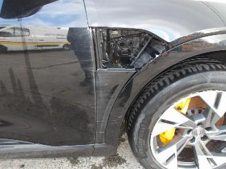 Audi E-tron SPORTBAG 50 QUATTRO picture 12