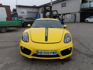 Porsche Cayman  picture 9