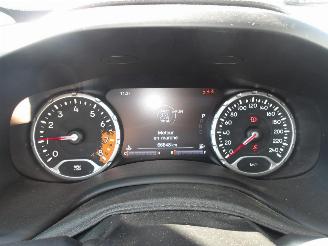 Jeep Renegade  picture 16