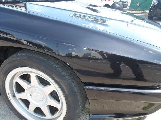 Maserati Shamal  picture 29