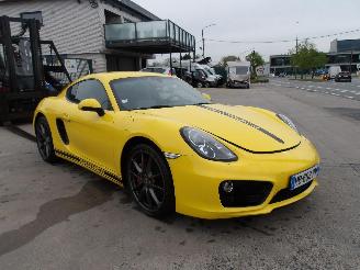 Avarii autoturisme Porsche Cayman  2013/1