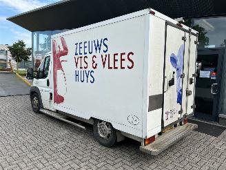 Fiat Ducato 2.3 multijet koel/vries wagen picture 23