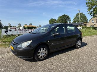 Peugeot 307 1.6-16V NAVTECH picture 2